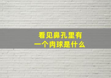 看见鼻孔里有一个肉球是什么