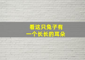 看这只兔子有一个长长的耳朵