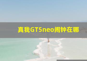 真我GT5neo闹钟在哪