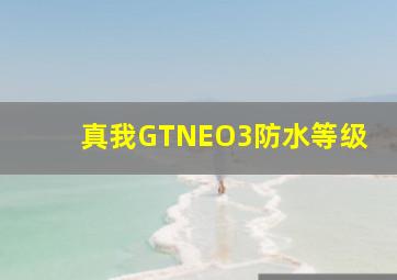 真我GTNEO3防水等级