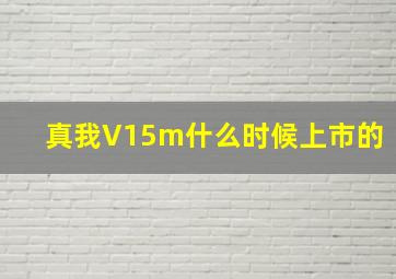 真我V15m什么时候上市的