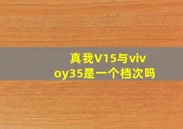 真我V15与vivoy35是一个档次吗