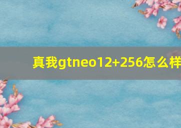 真我gtneo12+256怎么样