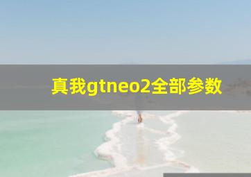 真我gtneo2全部参数