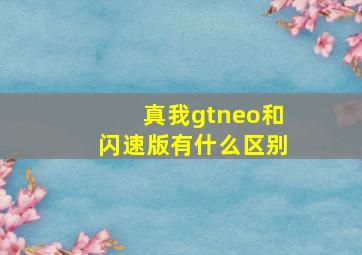 真我gtneo和闪速版有什么区别