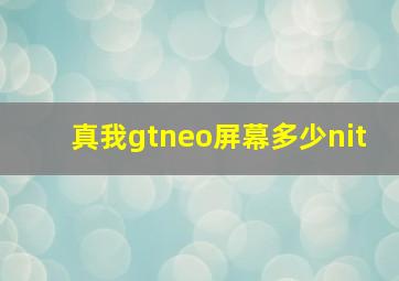 真我gtneo屏幕多少nit