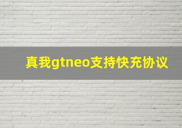 真我gtneo支持快充协议