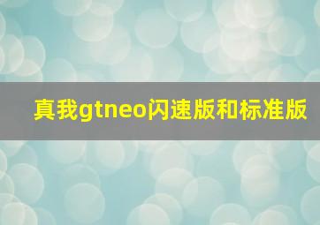 真我gtneo闪速版和标准版