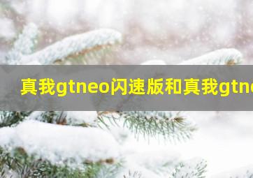 真我gtneo闪速版和真我gtneo