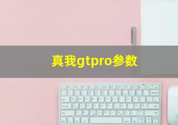 真我gtpro参数