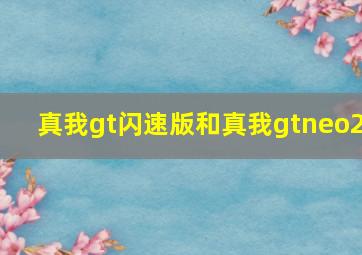 真我gt闪速版和真我gtneo2