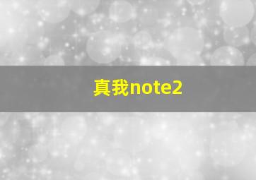 真我note2