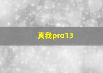 真我pro13