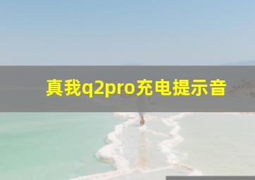 真我q2pro充电提示音