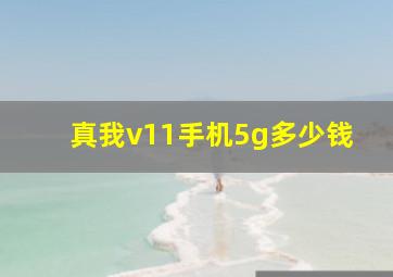 真我v11手机5g多少钱