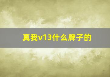 真我v13什么牌子的