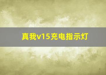 真我v15充电指示灯