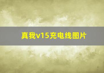 真我v15充电线图片