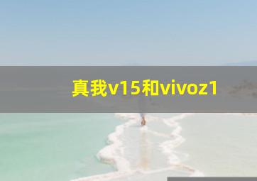 真我v15和vivoz1