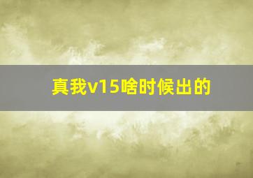 真我v15啥时候出的