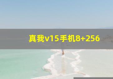 真我v15手机8+256