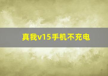 真我v15手机不充电