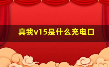 真我v15是什么充电口