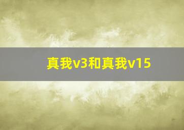 真我v3和真我v15