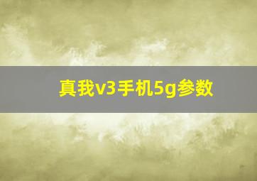 真我v3手机5g参数