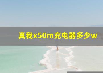 真我x50m充电器多少w