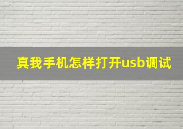 真我手机怎样打开usb调试