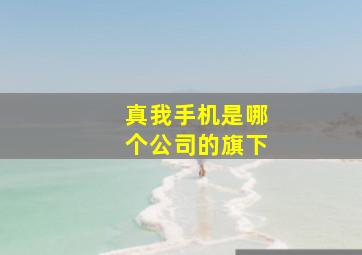 真我手机是哪个公司的旗下