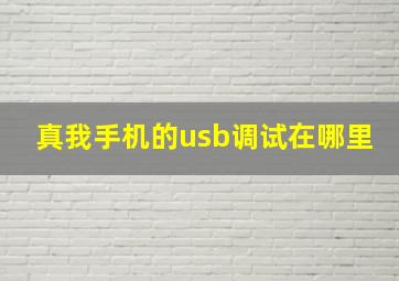 真我手机的usb调试在哪里