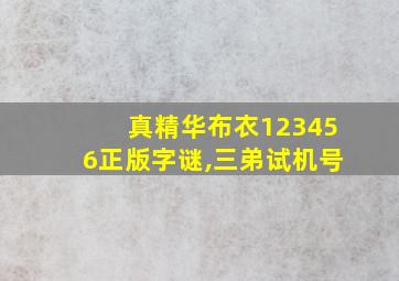 真精华布衣123456正版字谜,三弟试机号