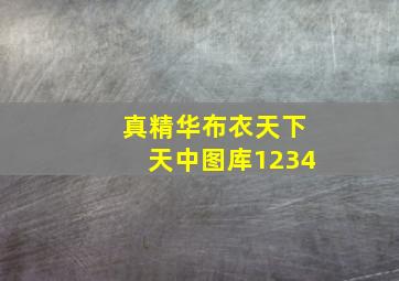 真精华布衣天下天中图库1234