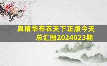 真精华布衣天下正版今天总汇图2024023期