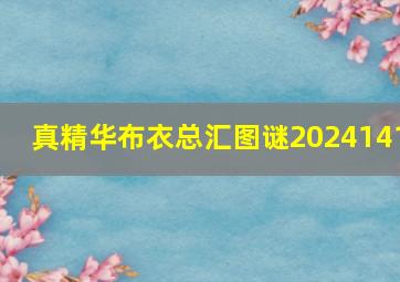 真精华布衣总汇图谜2024141