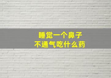 睡觉一个鼻子不通气吃什么药