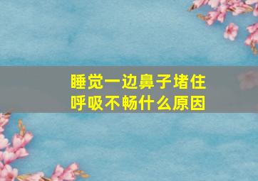 睡觉一边鼻子堵住呼吸不畅什么原因