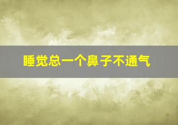 睡觉总一个鼻子不通气