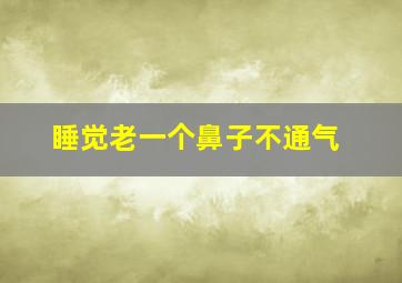 睡觉老一个鼻子不通气