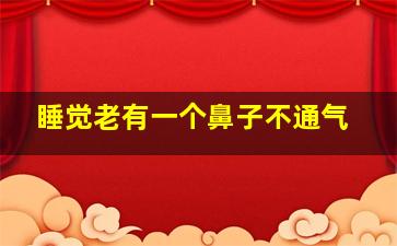 睡觉老有一个鼻子不通气