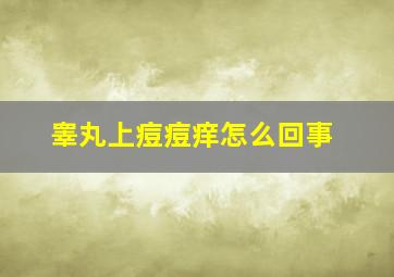 睾丸上痘痘痒怎么回事