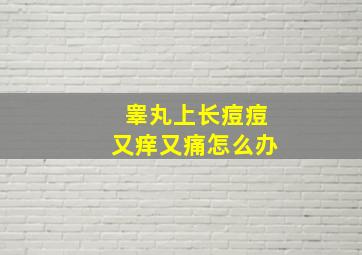 睾丸上长痘痘又痒又痛怎么办