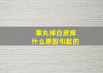 睾丸掉白皮痒什么原因引起的