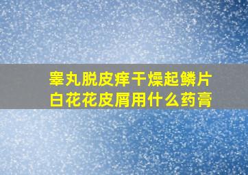 睾丸脱皮痒干燥起鳞片白花花皮屑用什么药膏