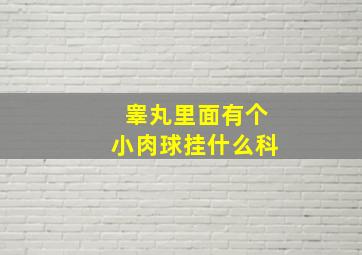 睾丸里面有个小肉球挂什么科