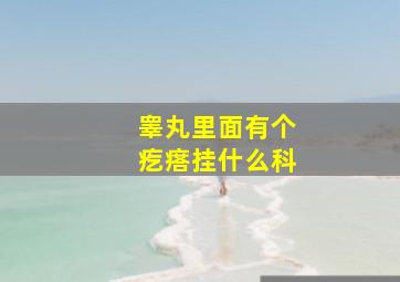 睾丸里面有个疙瘩挂什么科