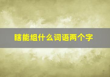 瞎能组什么词语两个字