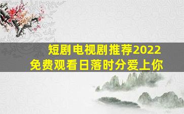 短剧电视剧推荐2022免费观看日落时分爱上你